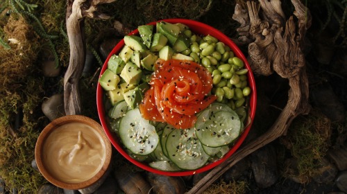 Salad Sunomomo Jiro Salad Sunomomo Jiro